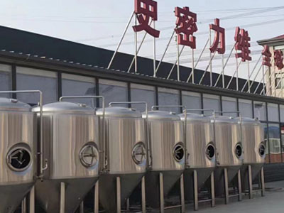 赤坎精酿啤酒设备厂—市场规模与跨界新需求